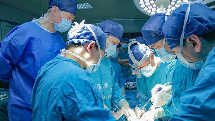 Trung Quốc ghép gan lợn chỉnh sửa gen cho người chết não đầu tiên trên thế giới